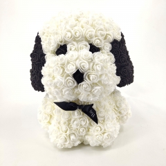 Rose Dog