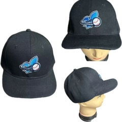 Black Baseball Cap